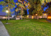 Thumbnail 11 of 28 - Lush Green Outdoors at ELEVATE, Placentia, CA